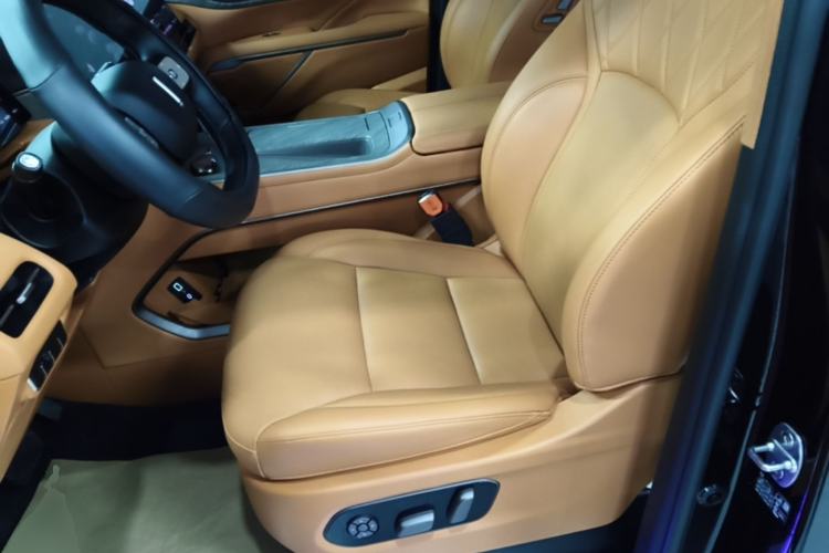 Used Wey Gaoshan 2025 Four-Wheel Drive Alpine 8 Left Front Seat