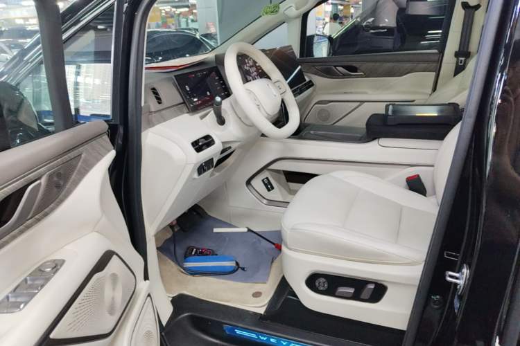 Used Wey Gaoshan 2025 Four-Wheel Drive Alpine 8 Left Front Seat