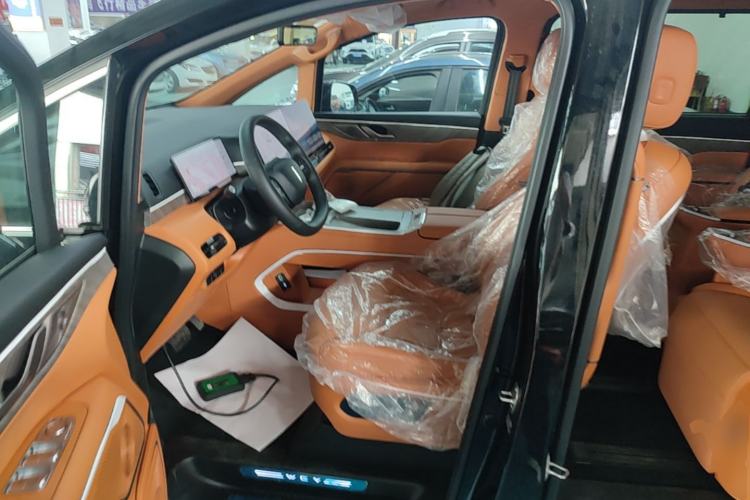 Used Wey Gaoshan 2025 Four-Wheel Drive Alpine 8 Left Front Seat