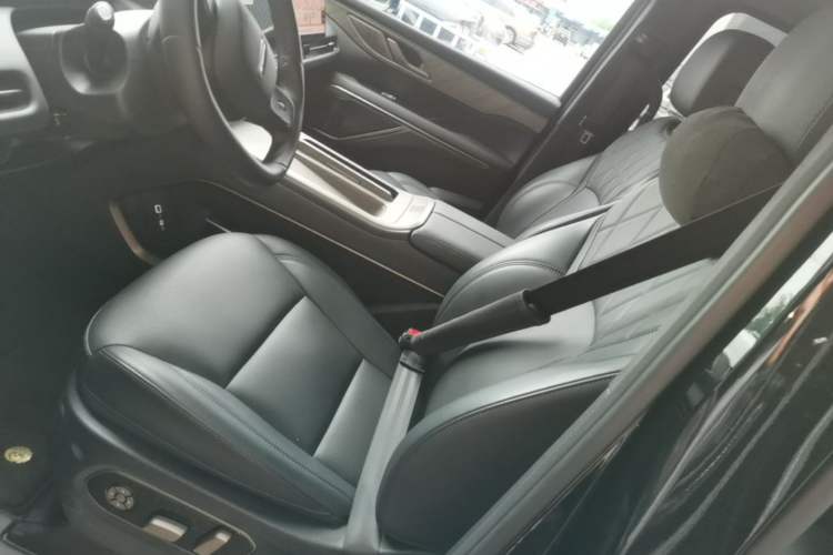 Used Wey Gaoshan 2025 Four-Wheel Drive Alpine 8 Left Front Seat