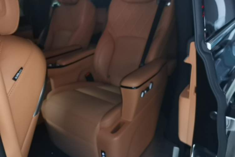 Used Wey Gaoshan 2025 Four-Wheel Drive Alpine 8 Left Rear Seat