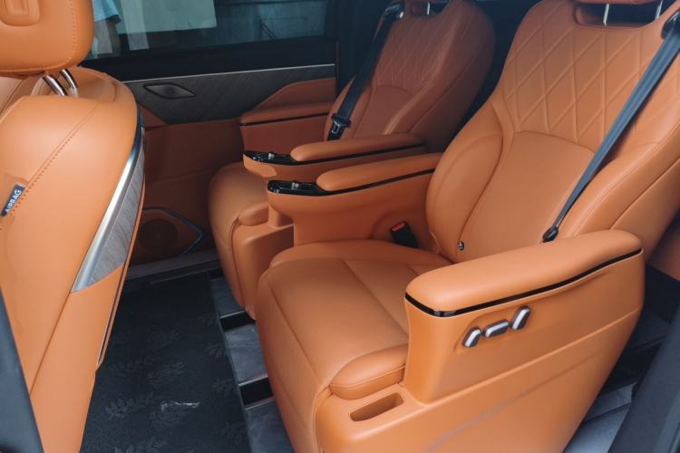 Used Wey Gaoshan 2025 Four-Wheel Drive Alpine 8 Left Rear Seat