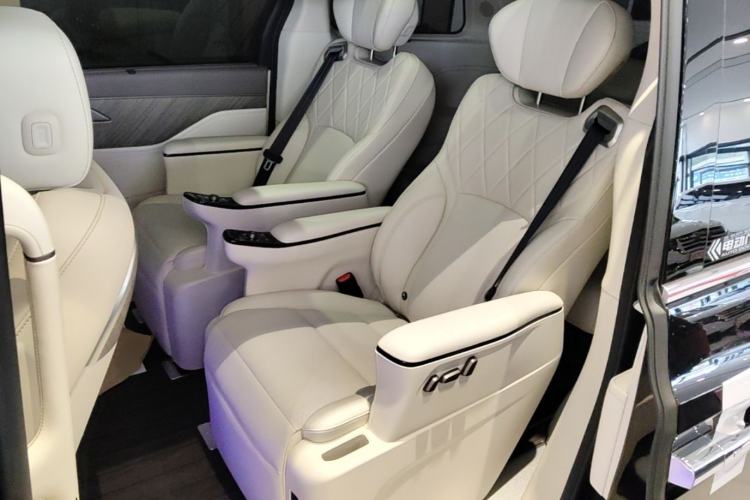 Used Wey Gaoshan 2025 Four-Wheel Drive Alpine 8 Left Rear Seat