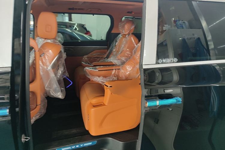 Used Wey Gaoshan 2025 Four-Wheel Drive Alpine 8 Left Rear Seat