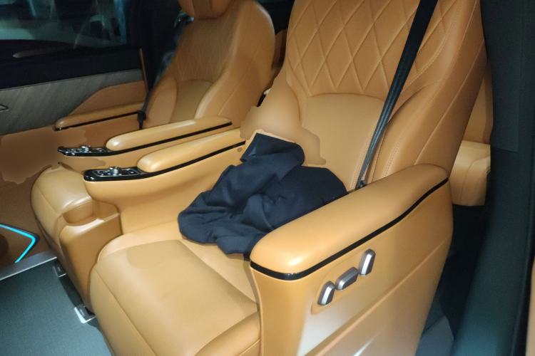 Used Wey Gaoshan 2025 Four-Wheel Drive Alpine 8 Left Rear Seat