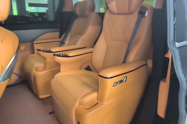 Used Wey Gaoshan 2025 Four-Wheel Drive Alpine 8 Left Rear Seat