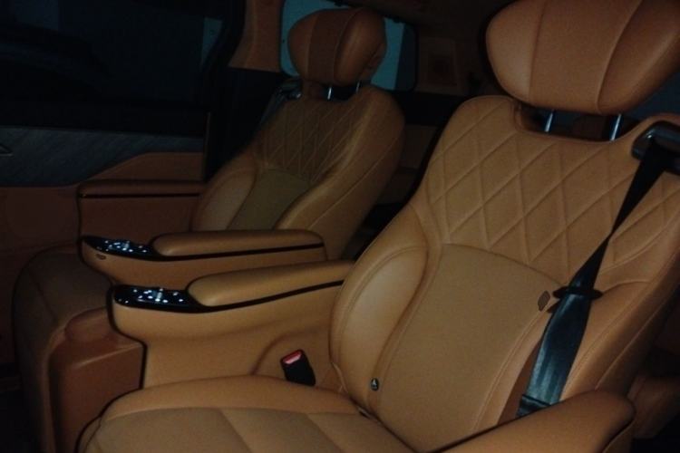 Used Wey Gaoshan 2025 Four-Wheel Drive Alpine 8 Left Rear Seat