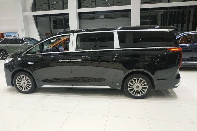 Used Wey Gaoshan 2025 Four-Wheel Drive Alpine 9 Left Side