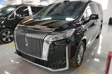 Used Wey Gaoshan 2025 Four-Wheel Drive Alpine 8