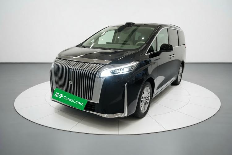 Wey Gaoshan 2025 Four-Wheel Drive Alpine 9