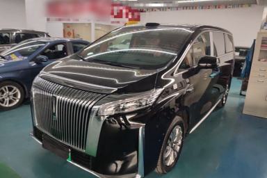Used Wey Gaoshan 2025 Four-Wheel Drive Alpine 8