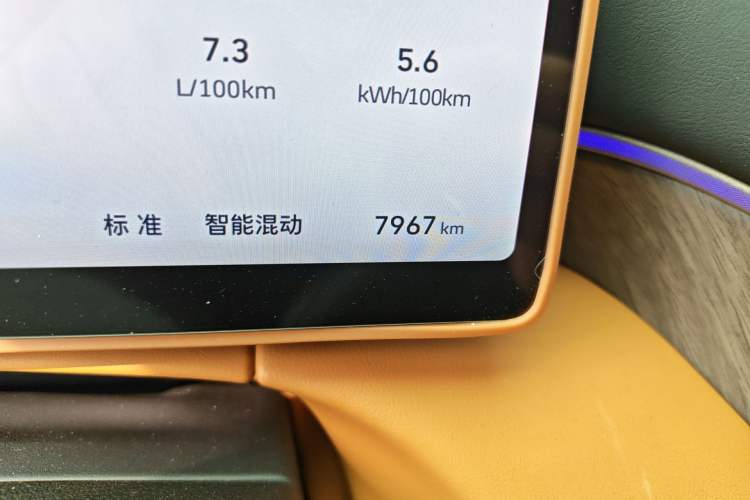 Used Wey Gaoshan 2025 Four-Wheel Drive Alpine 8 Odometer Close Up