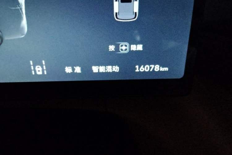 Used Wey Gaoshan 2025 Four-Wheel Drive Alpine 8 Odometer Close Up