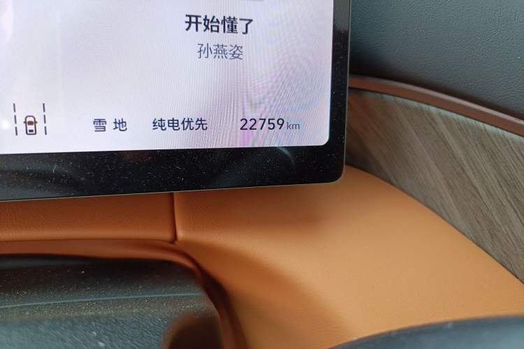 Used Wey Gaoshan 2025 Four-Wheel Drive Alpine 8 Odometer Close Up