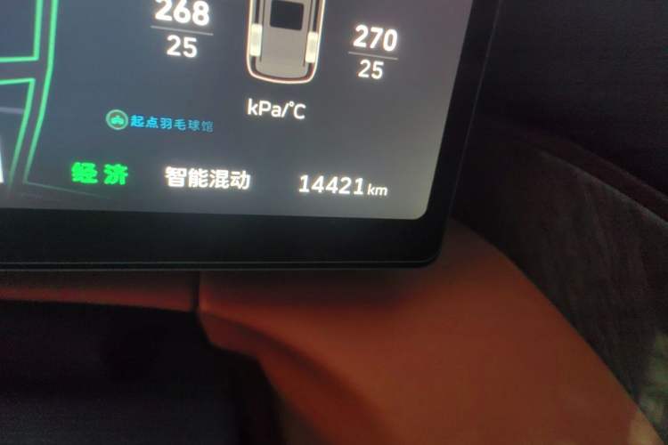Used Wey Gaoshan 2025 Model Four-Wheel Drive Gao Shan 7 Odometer Close Up