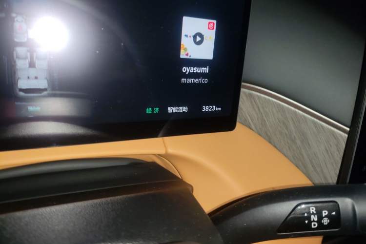 Used Wey Gaoshan 2025 Four-Wheel Drive Alpine 8 Odometer Close Up