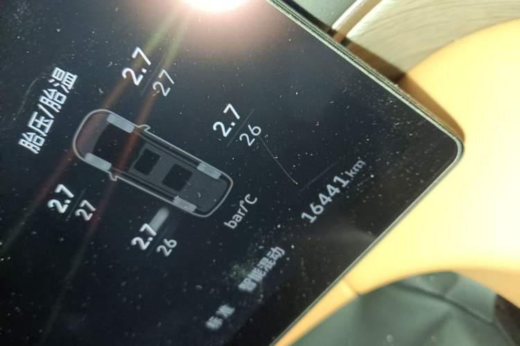 Used Wey Gaoshan 2025 Four-Wheel Drive Alpine 8 Odometer Close Up