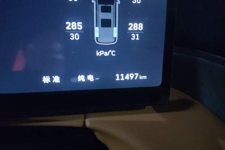 Used Wey Gaoshan 2025 Four-Wheel Drive Alpine 8 Odometer Close Up