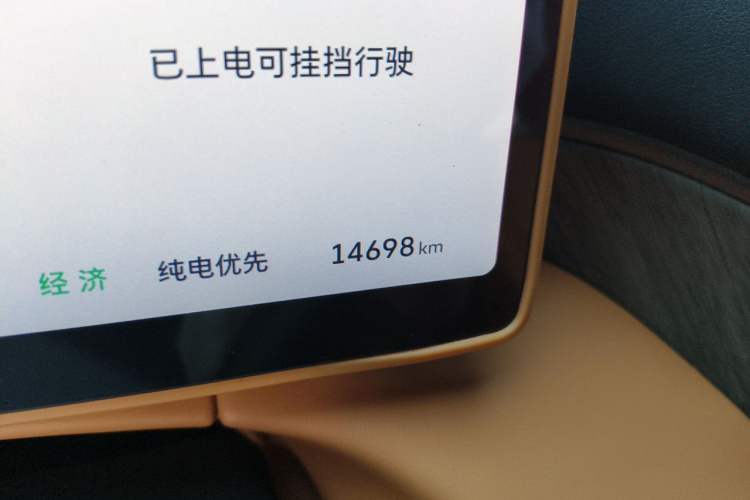 Used Wey Gaoshan 2025 Four-Wheel Drive Alpine 8 Odometer Close Up