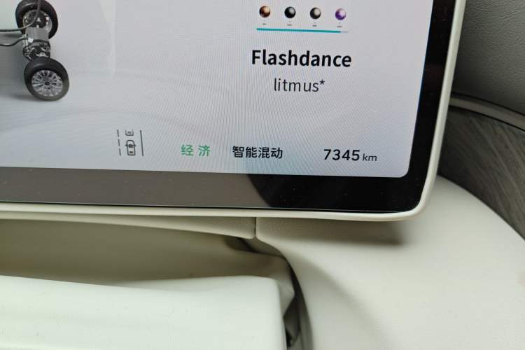 Used Wey Gaoshan 2025 Four-Wheel Drive Alpine 8 Odometer Close Up