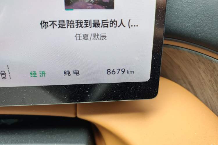 Used Wey Gaoshan 2025 Four-Wheel Drive Alpine 8 Odometer Close Up