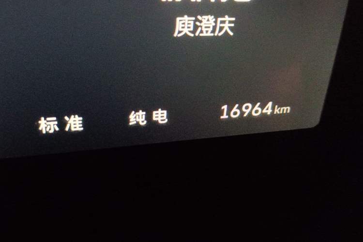 Used Wey Gaoshan 2025 Four-Wheel Drive Alpine 8 Odometer Close Up