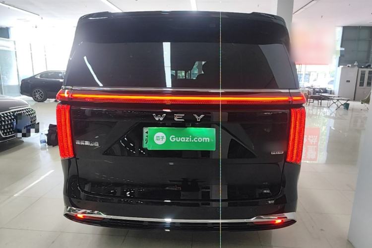 Used Wey Gaoshan 2025 Four-Wheel Drive Alpine 8 Rear