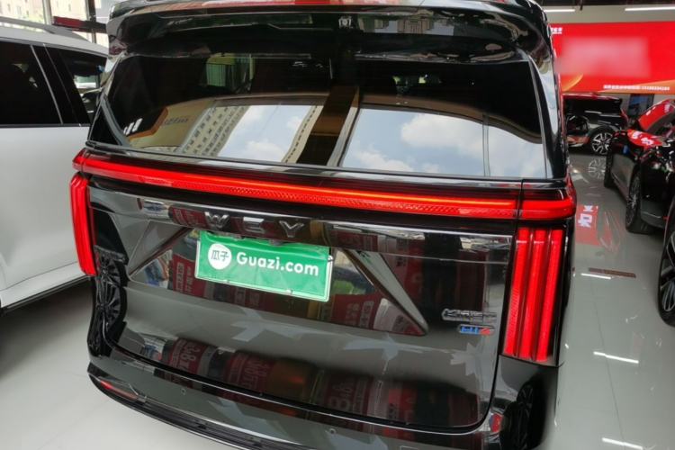 Used Wey Gaoshan 2025 Four-Wheel Drive Alpine 8 Rear