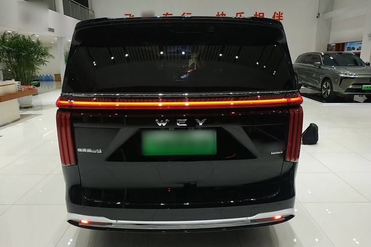 Used Wey Gaoshan 2025 Four-Wheel Drive Alpine 9 Rear