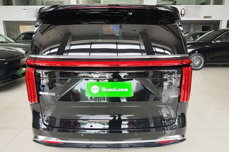 Used Wey Gaoshan 2025 Four-Wheel Drive Alpine 8 Rear