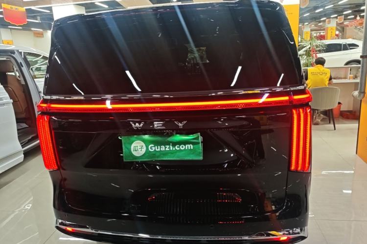 Used Wey Gaoshan 2025 Four-Wheel Drive Alpine 8 Rear