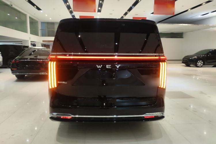 Used Wey Gaoshan 2025 Four-Wheel Drive Alpine 8 Rear
