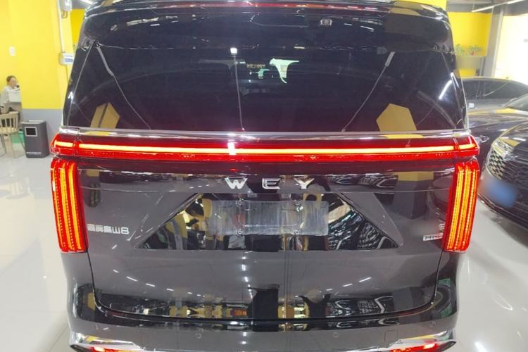 Used Wey Gaoshan 2025 Four-Wheel Drive Alpine 8 Rear