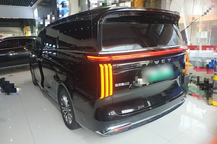 Used Wey Gaoshan 2025 Four-Wheel Drive Alpine 8 Rear Left 45 Deg