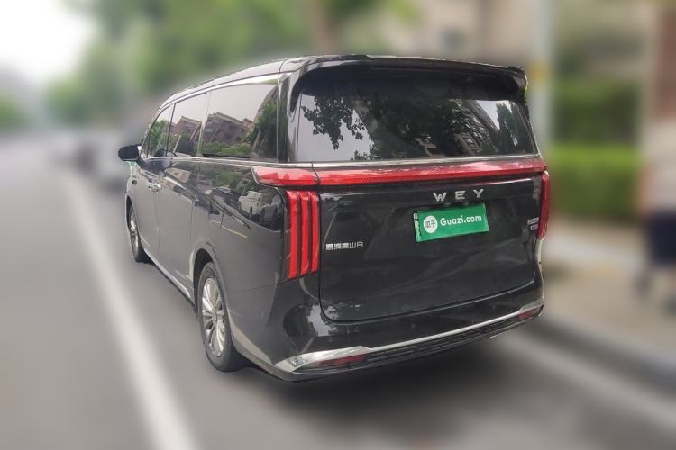 Used Wey Gaoshan 2025 Four-Wheel Drive Alpine 8 Rear Left 45 Deg