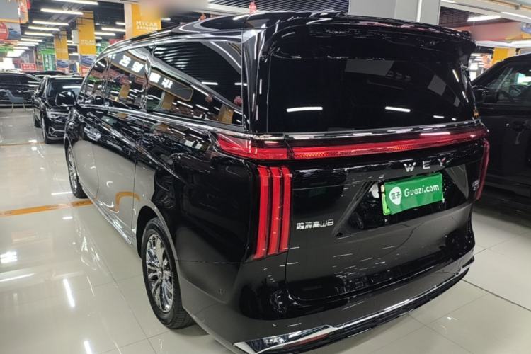 Used Wey Gaoshan 2025 Four-Wheel Drive Alpine 8 Rear Left 45 Deg