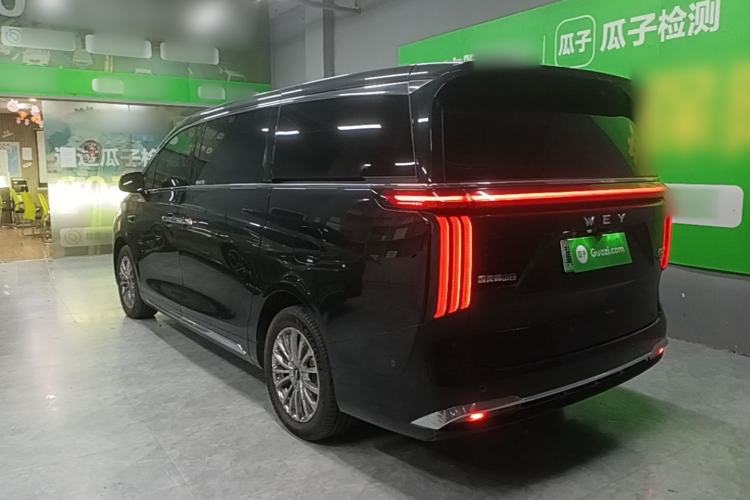Used Wey Gaoshan 2025 Four-Wheel Drive Alpine 8 Rear Left 45 Deg