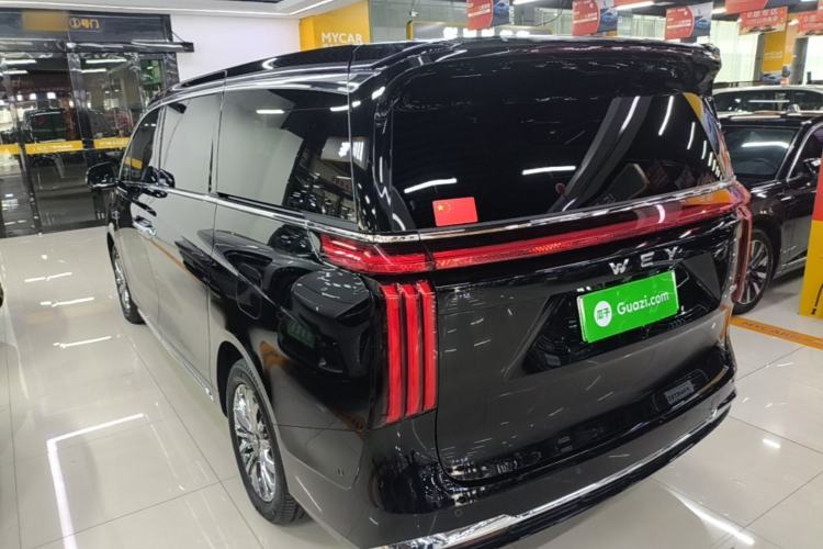 Used Wey Gaoshan 2025 Four-Wheel Drive Alpine 8 Rear Left 45 Deg