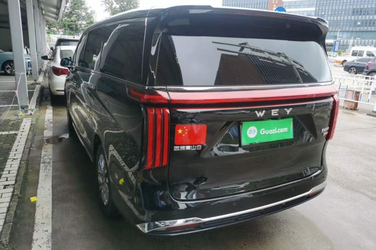 Used Wey Gaoshan 2025 Four-Wheel Drive Alpine 8 Rear Left 45 Deg