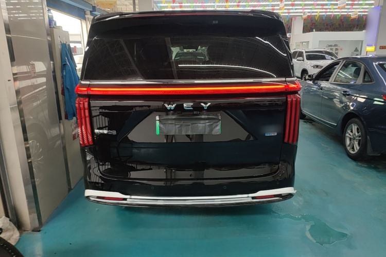 Used Wey Gaoshan 2025 Four-Wheel Drive Alpine 8 Rear