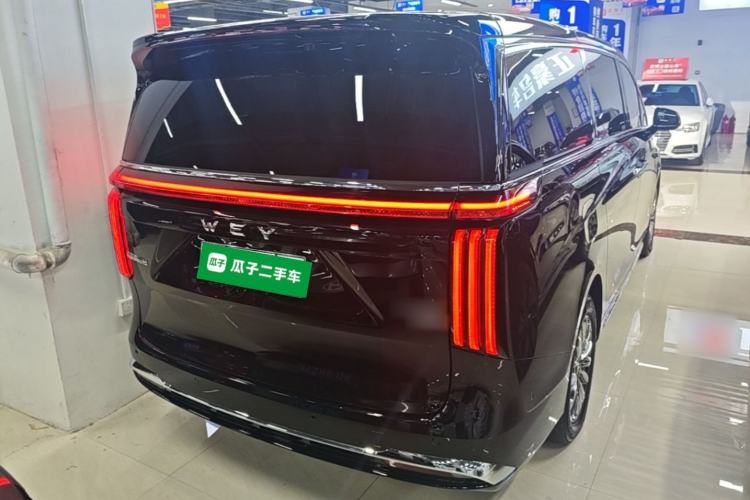 Used Wey Gaoshan 2025 Four-Wheel Drive Alpine 8 Rear Right 45 Deg