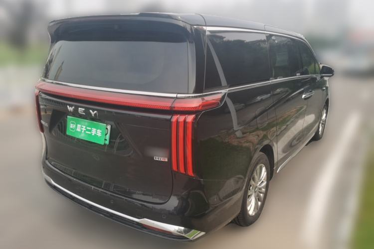Used Wey Gaoshan 2025 Four-Wheel Drive Alpine 8 Rear Right 45 Deg