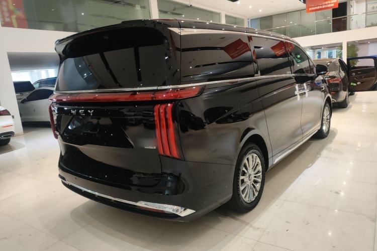 Used Wey Gaoshan 2025 Four-Wheel Drive Alpine 8 Rear Right 45 Deg