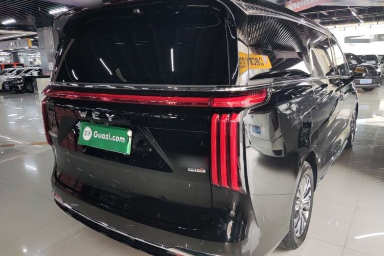 Used Wey Gaoshan 2025 Four-Wheel Drive Alpine 8 Rear Right 45 Deg