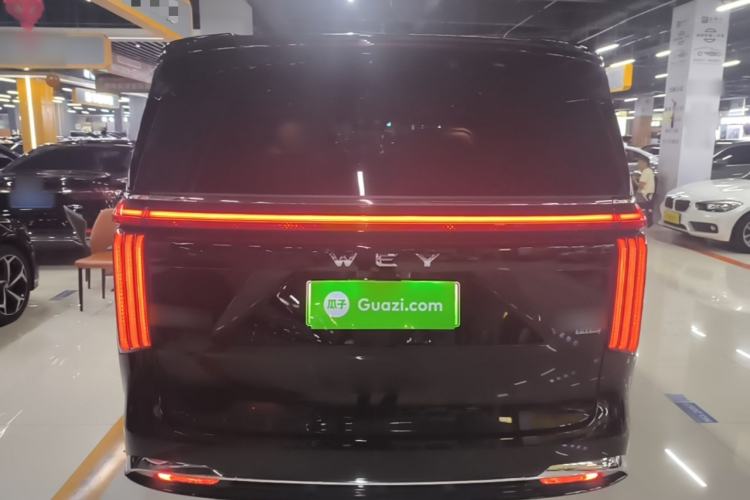 Used Wey Gaoshan 2025 Four-Wheel Drive Alpine 8 Rear