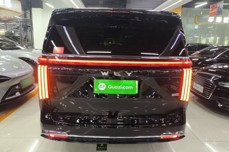 Used Wey Gaoshan 2025 Four-Wheel Drive Alpine 8 Rear