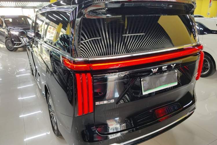 Used Wey Gaoshan 2025 Four-Wheel Drive Alpine 8 Rear