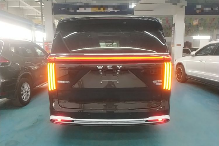 Used Wey Gaoshan 2025 Four-Wheel Drive Alpine 8 Rear