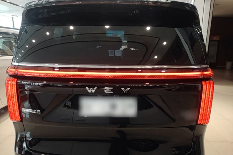Used Wey Gaoshan 2025 Four-Wheel Drive Alpine 8 Rear