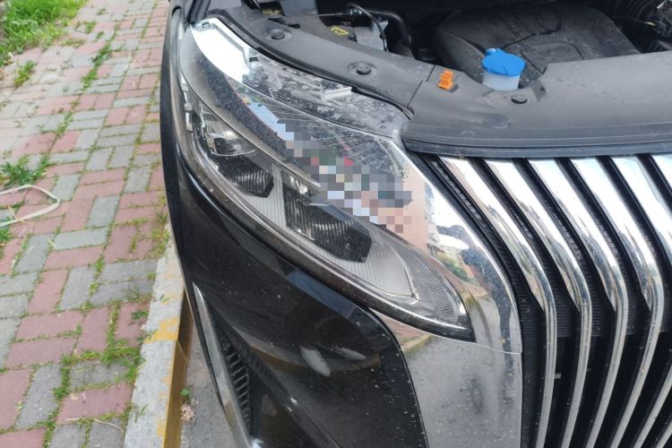Used Wey Gaoshan 2025 Four-Wheel Drive Alpine 8 Right Front Headlight